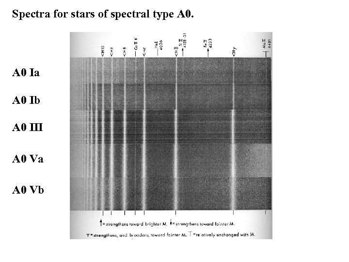Spectra for stars of spectral type A 0 Ia A 0 Ib A 0