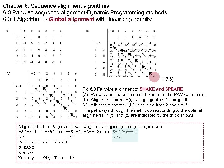 Chapter 6. Sequence alignment algorithms 6. 3 Pairwise sequence alignment-Dynamic Programming methods 6. 3.