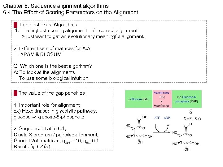Chapter 6. Sequence alignment algorithms 6. 4 The Effect of Scoring Parameters on the