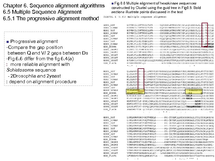Chapter 6. Sequence alignment algorithms 6. 5 Multiple Sequence Alignment 6. 5. 1 The