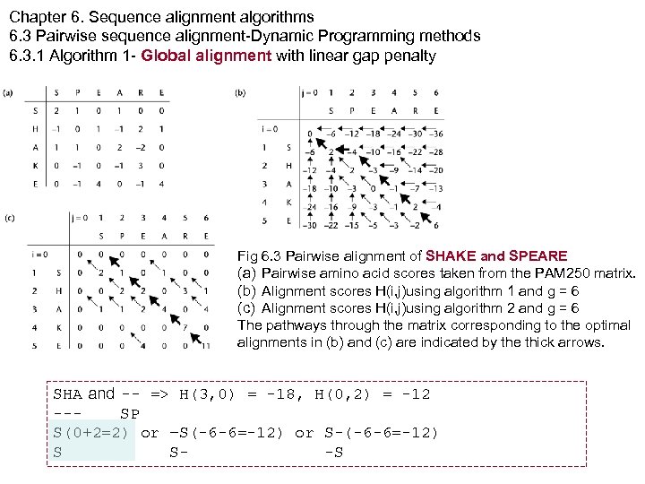 Chapter 6. Sequence alignment algorithms 6. 3 Pairwise sequence alignment-Dynamic Programming methods 6. 3.