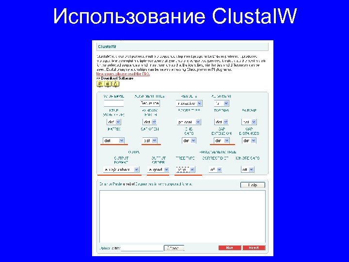 Использование Clustal. W 