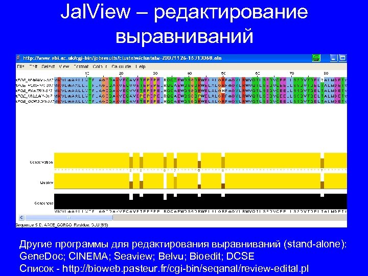 Jal. View – редактирование выравниваний Другие программы для редактирования выравниваний (stand-alone): Gene. Doc; CINEMA;