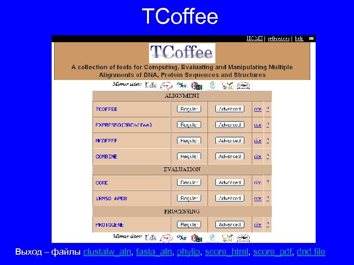 TCoffee Выход – файлы clustalw_aln, fasta_aln, phylip, score_html, score_pdf, dnd file 