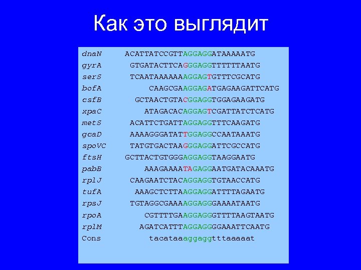 Как это выглядит dna. N gyr. A ser. S bof. A csf. B xpa.