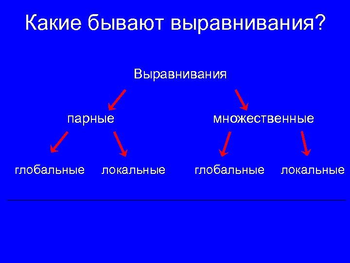 Какие бывают выравнивания? Выравнивания парные глобальные локальные множественные глобальные локальные 