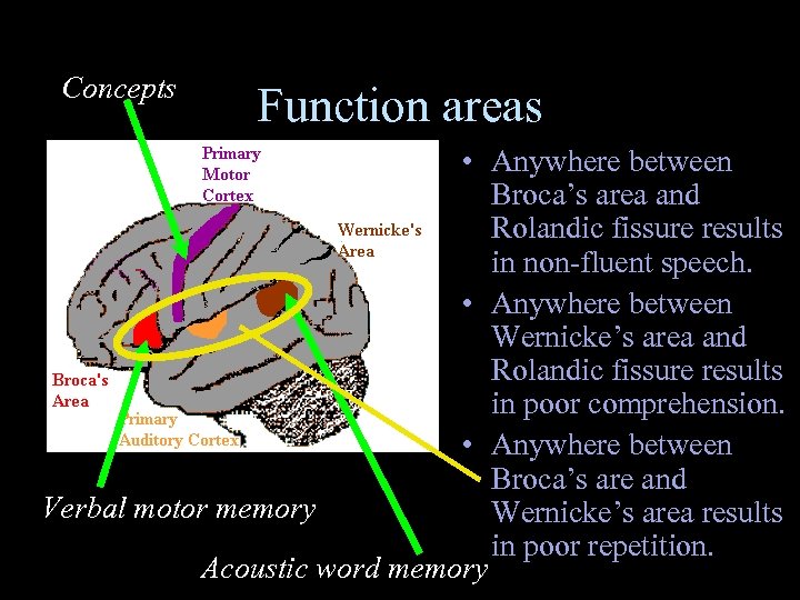 Concepts Function areas • Anywhere between Broca’s area and Rolandic fissure results in non-fluent