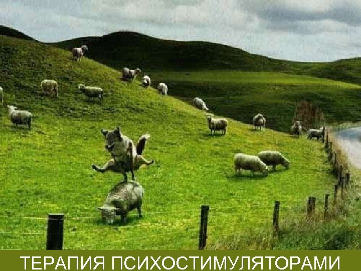 ТЕРАПИЯ ПСИХОСТИМУЛЯТОРАМИ 