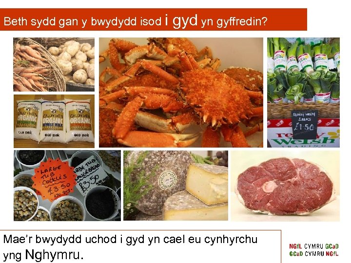 Beth sydd gan y bwydydd isod i gyd yn gyffredin? Mae’r bwydydd uchod i