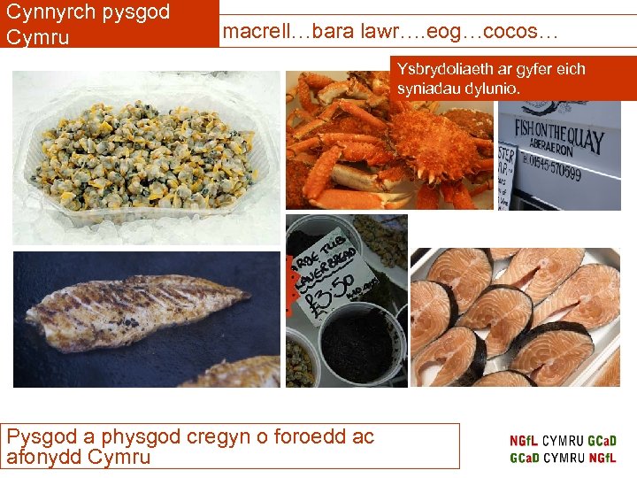 Cynnyrch pysgod Cymru macrell…bara lawr…. eog…cocos… Ysbrydoliaeth ar gyfer eich syniadau dylunio. Pysgod a