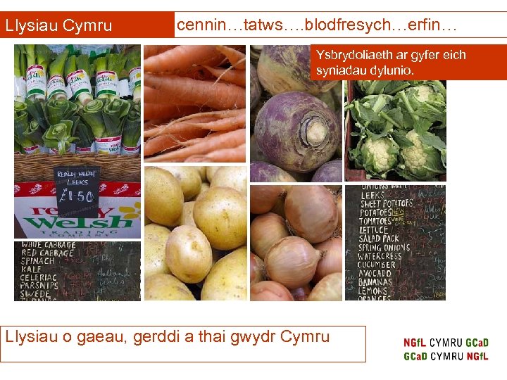 Llysiau Cymru cennin…tatws…. blodfresych…erfin… Ysbrydoliaeth ar gyfer eich syniadau dylunio. Llysiau o gaeau, gerddi