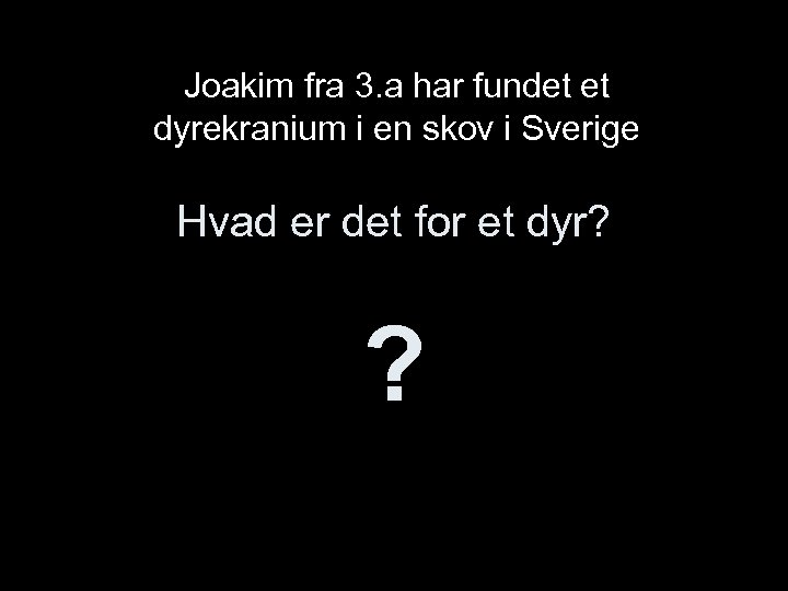 Joakim fra 3. a har fundet et dyrekranium i en skov i Sverige Hvad