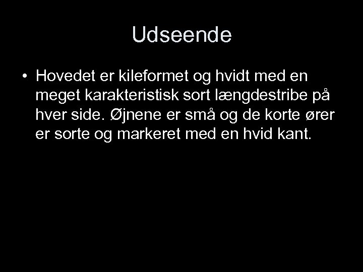 Udseende • Hovedet er kileformet og hvidt med en meget karakteristisk sort længdestribe på