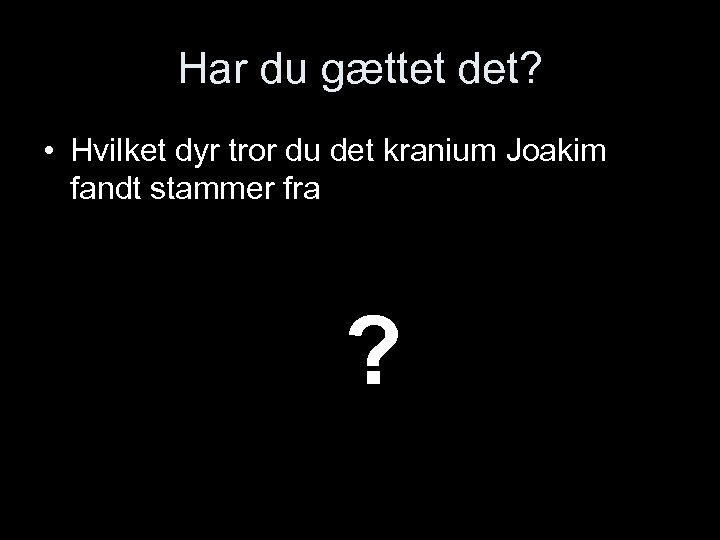 Har du gættet det? • Hvilket dyr tror du det kranium Joakim fandt stammer