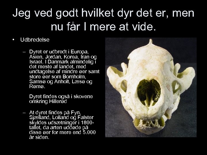 Jeg ved godt hvilket dyr det er, men nu får I mere at vide.