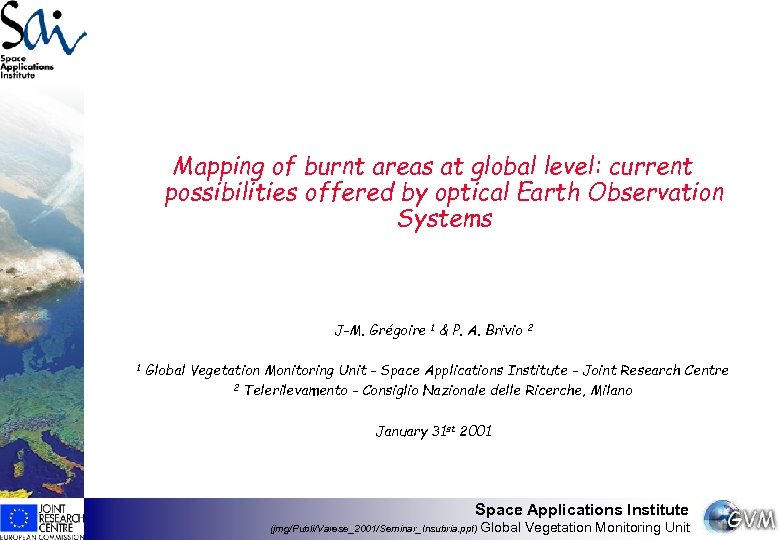 Mapping of burnt areas at global level: current possibilities offered by optical Earth Observation