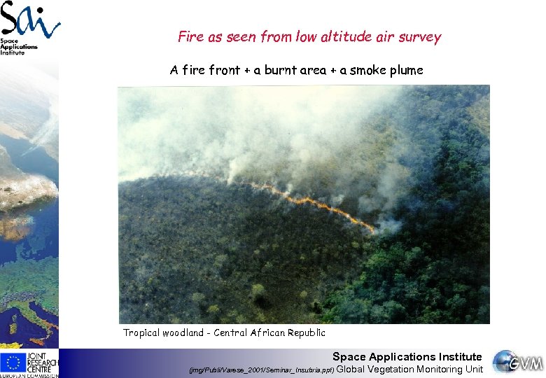 Fire as seen from low altitude air survey A fire front + a burnt