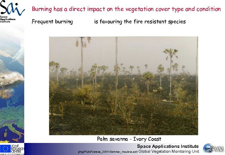 Burning has a direct impact on the vegetation cover type and condition Frequent burning