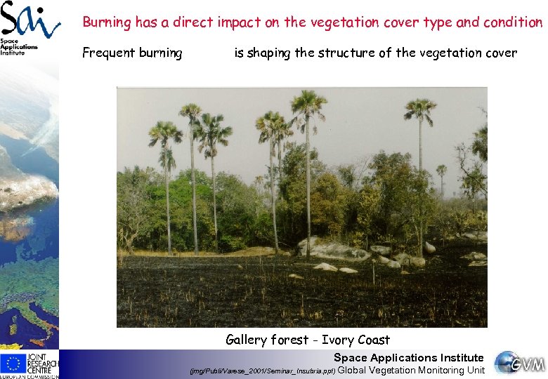 Burning has a direct impact on the vegetation cover type and condition Frequent burning