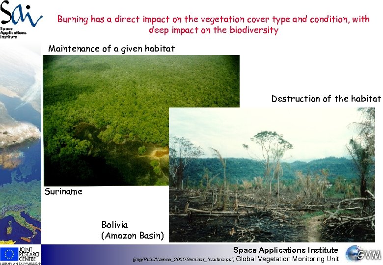 Burning has a direct impact on the vegetation cover type and condition, with deep