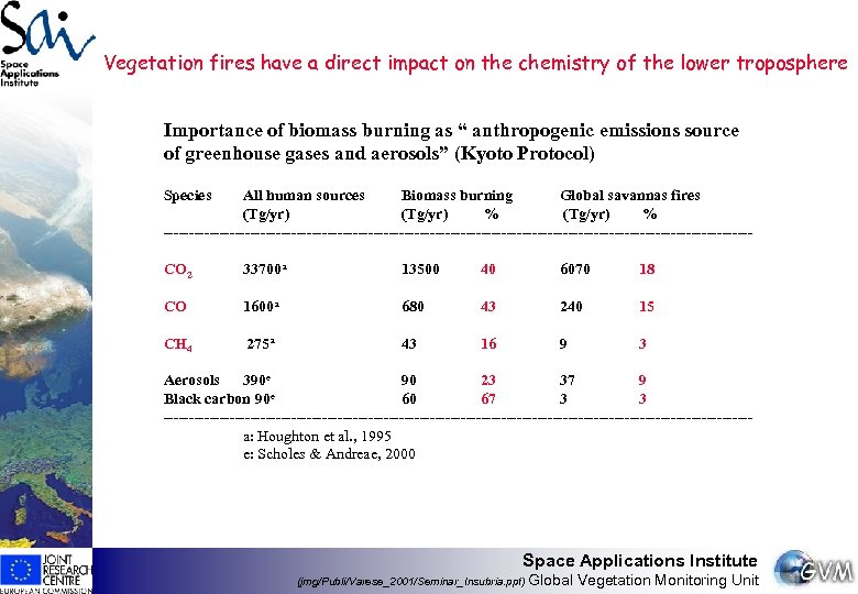 Vegetation fires have a direct impact on the chemistry of the lower troposphere Importance