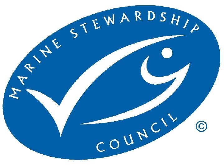 MSC Chain of Custody 