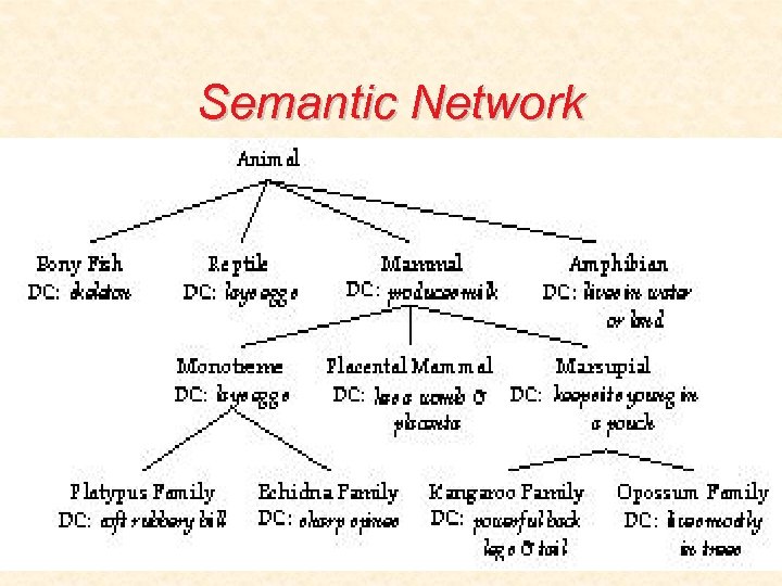 Semantic Network 