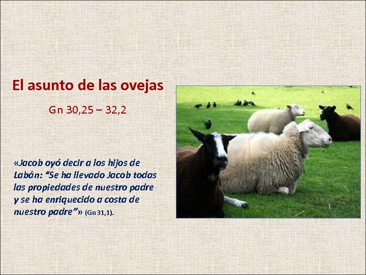 El asunto de las ovejas Gn 30, 25 – 32, 2 «Jacob oyó decir