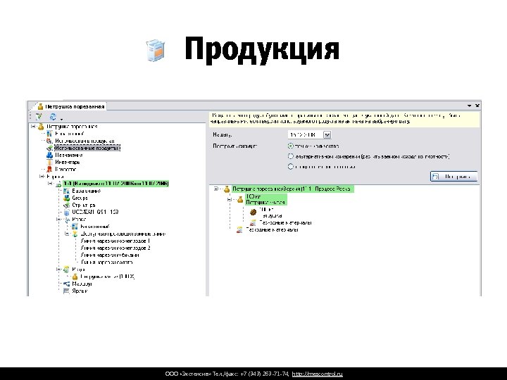 Продукция ООО «Экстенсив» Тел. /факс: +7 (343) 263 -71 -74, http: //mescontrol. ru 