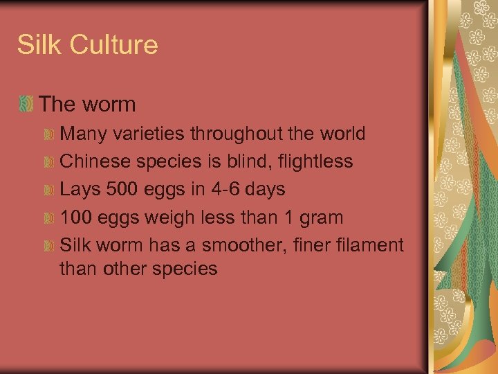 Silk Culture The worm Many varieties throughout the world Chinese species is blind, flightless