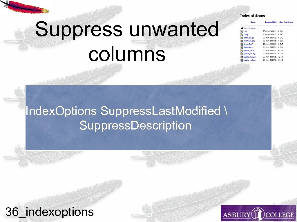 Suppress unwanted columns Index. Options Suppress. Last. Modified  Suppress. Description 36_indexoptions 121 