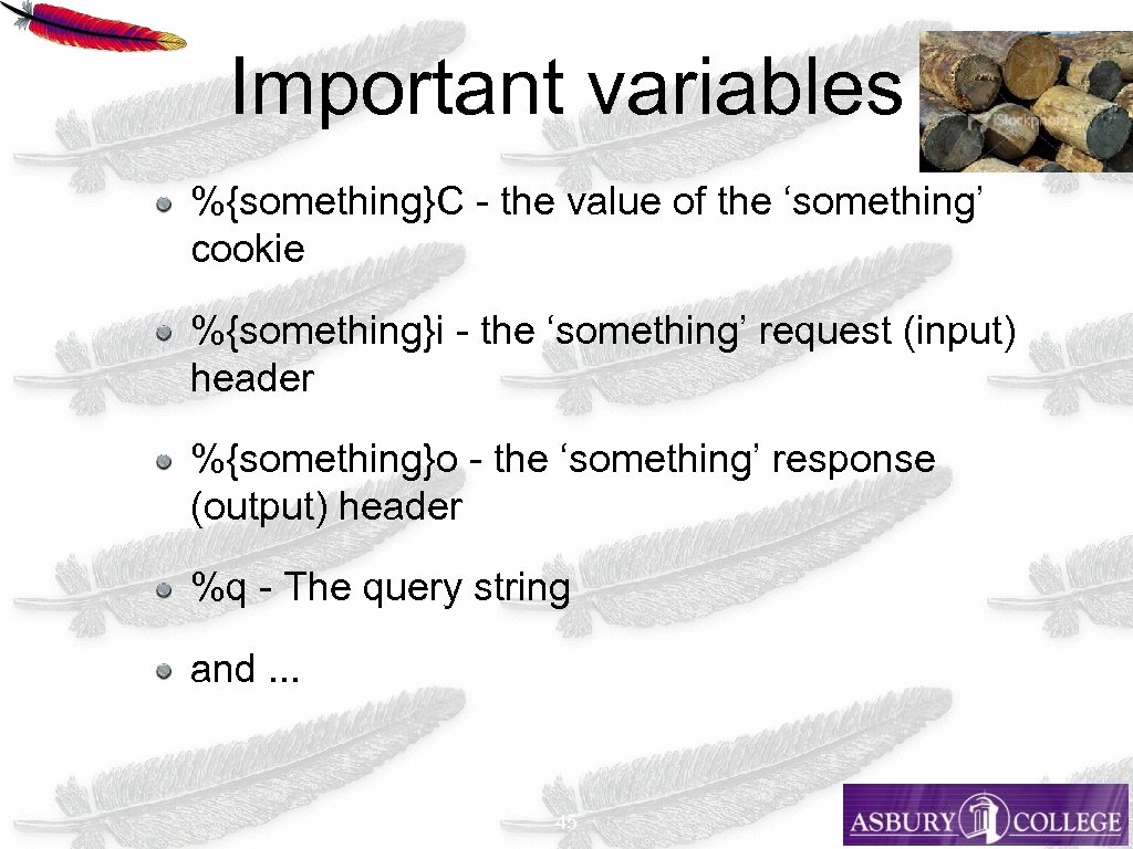 Important variables %{something}C - the value of the ‘something’ cookie %{something}i - the ‘something’