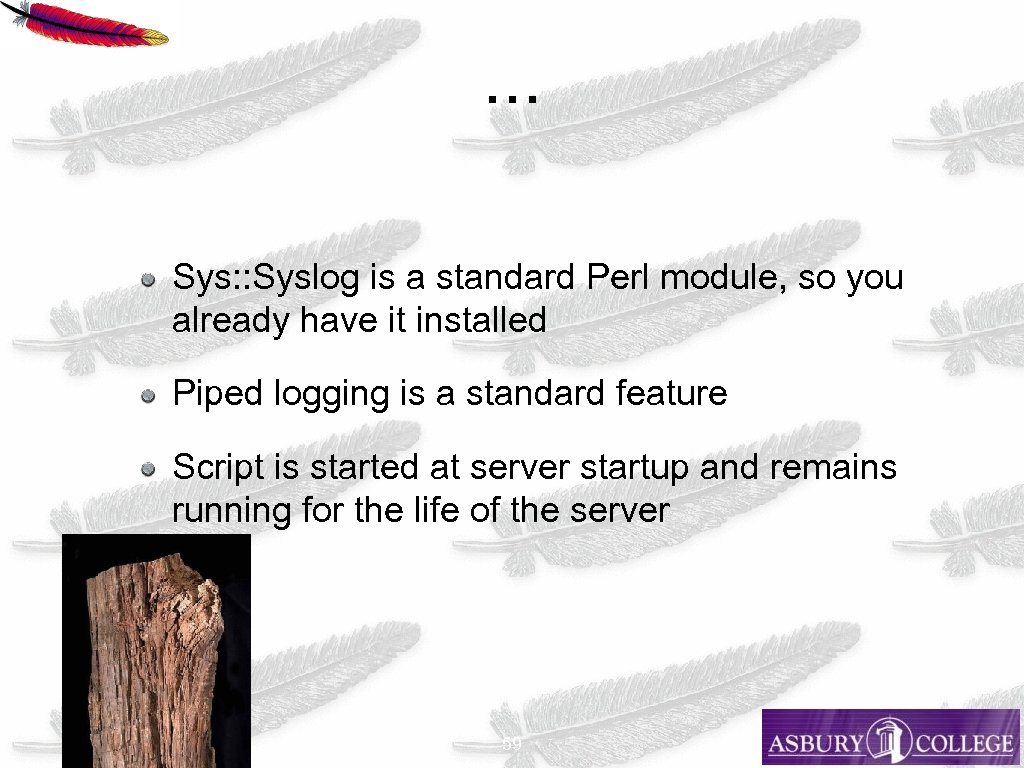 . . . Sys: : Syslog is a standard Perl module, so you already