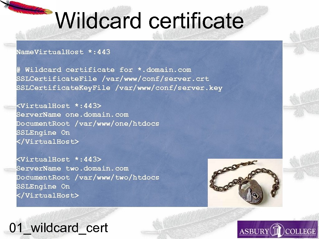 Wildcard certificate Name. Virtual. Host *: 443 # Wildcard certificate for *. domain. com