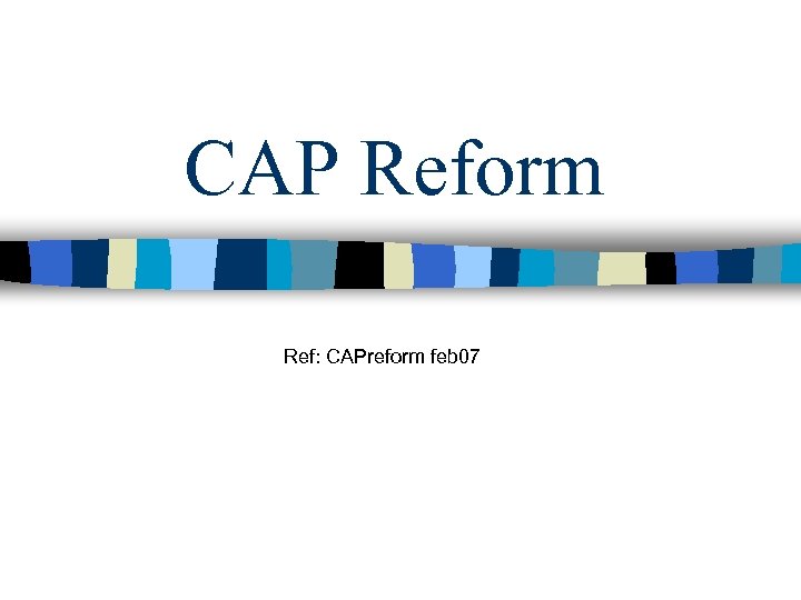 CAP Reform Ref: CAPreform feb 07 