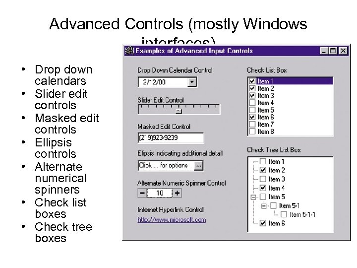 Advanced Controls (mostly Windows interfaces) • Drop down calendars • Slider edit controls •