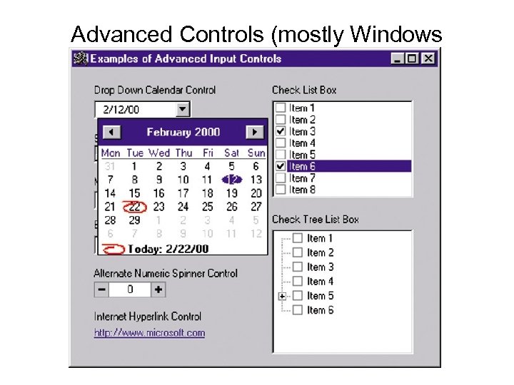 Advanced Controls (mostly Windows interfaces) 