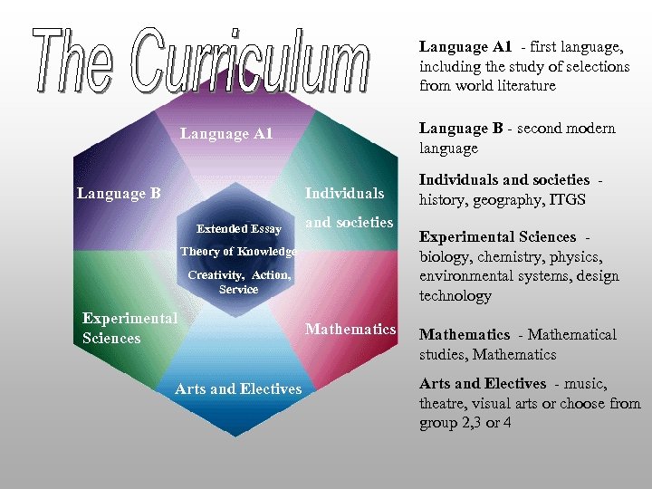 Language A 1 - first language, including the study of selections from world literature