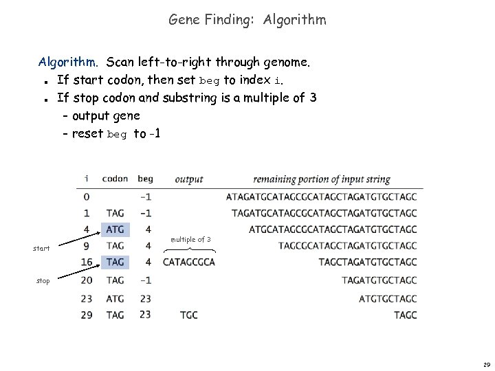 Gene Finding: Algorithm. Scan left-to-right through genome. If start codon, then set beg to