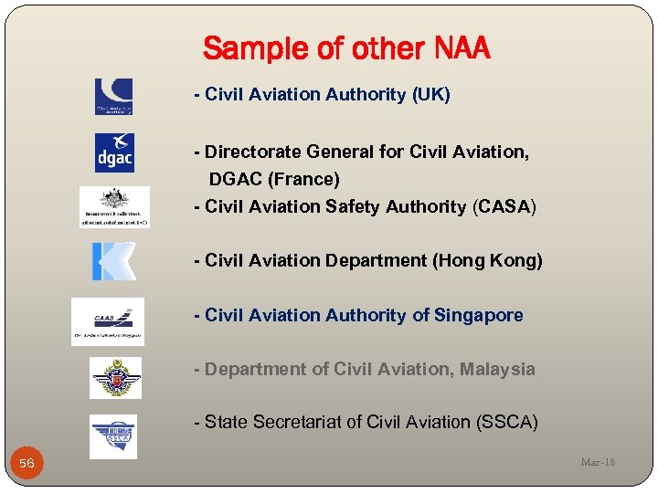 Sample of other NAA - Civil Aviation Authority (UK) - Directorate General for Civil