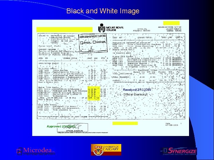 Black and White Image 