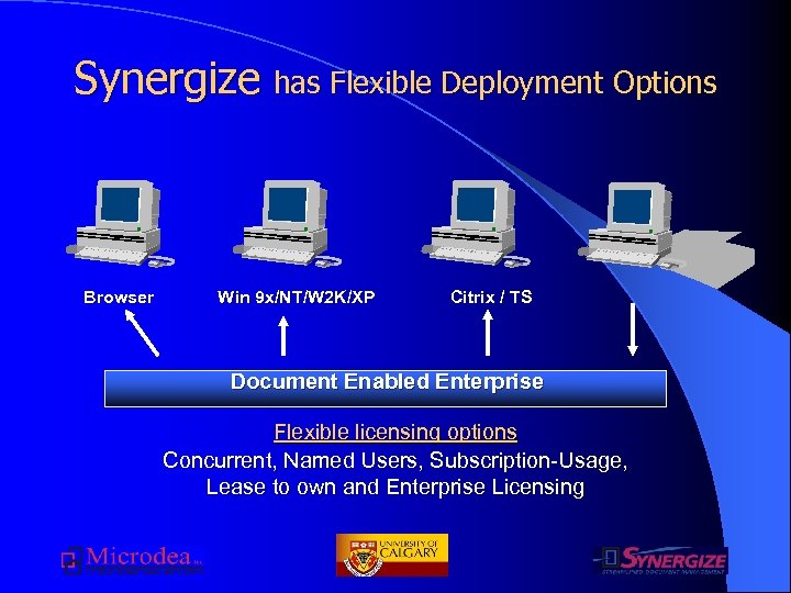 Synergize has Flexible Deployment Options Browser Win 9 x/NT/W 2 K/XP Citrix / TS