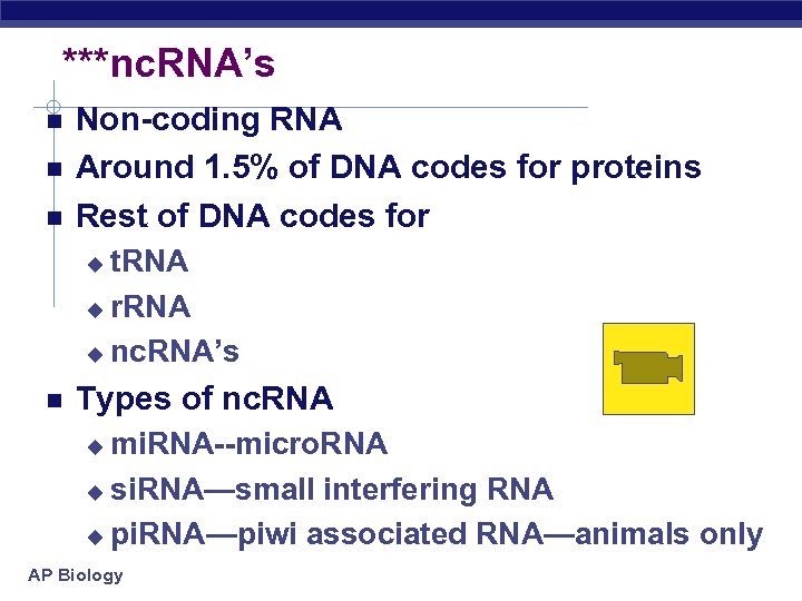 ***nc. RNA’s Non-coding RNA Around 1. 5% of DNA codes for proteins Rest of