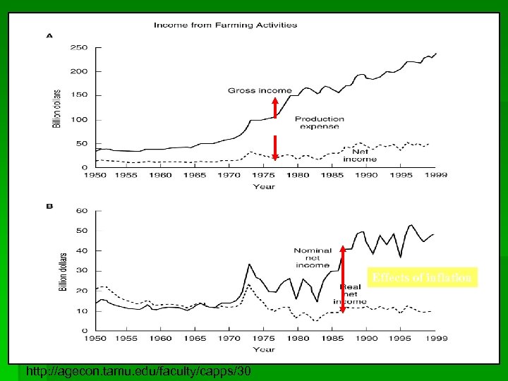 Effects of inflation http: //agecon. tamu. edu/faculty/capps/30 
