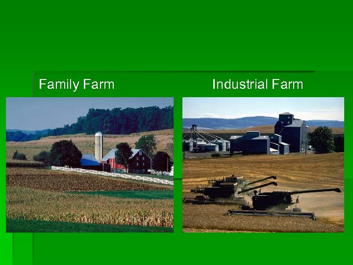 Family Farm Industrial Farm 