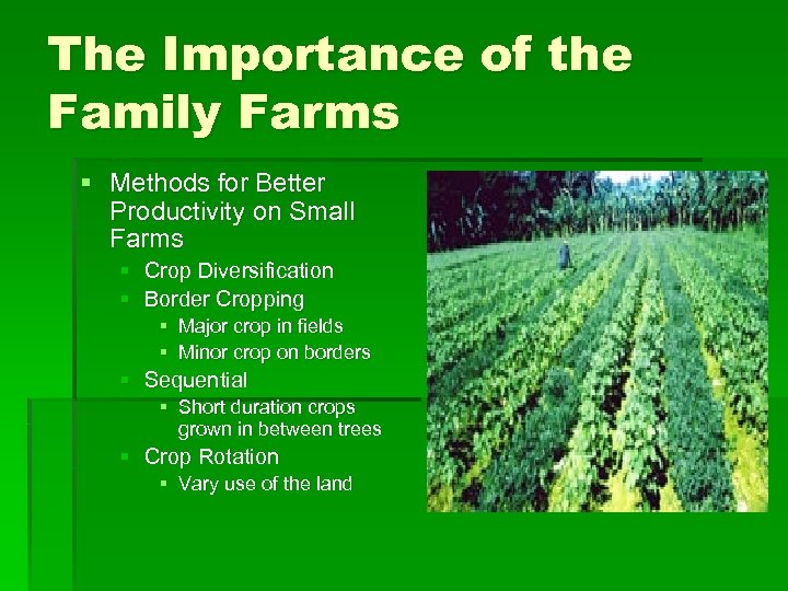 The Importance of the Family Farms § Methods for Better Productivity on Small Farms