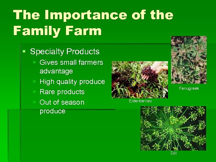 The Importance of the Family Farm § Specialty Products § Gives small farmers advantage