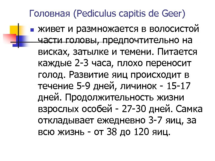 Головная (Pediculus capitis de Geer) n живет и размножается в волосистой части головы, предпочтительно