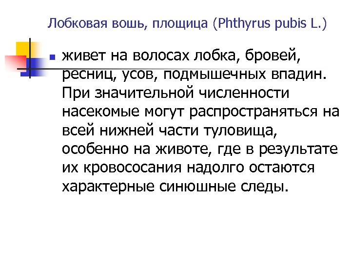 Лобковая вошь, площица (Phthyrus pubis L. ) n живет на волосах лобка, бровей, ресниц,