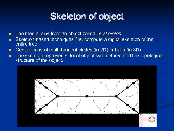 Skeleton of object n n The medial axis from an object called its skeleton